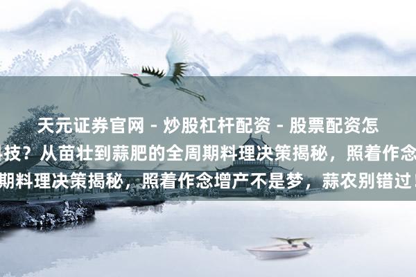 天元证券官网 - 炒股杠杆配资 - 股票配资怎么杠杆 大蒜增产有啥黑科技？从苗壮到蒜肥的全周期料理决策揭秘，照着作念增产不是梦，蒜农别错过！