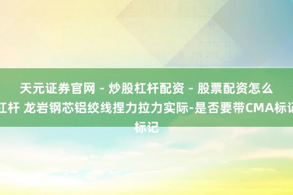 天元证券官网 - 炒股杠杆配资 - 股票配资怎么杠杆 龙岩钢芯铝绞线捏力拉力实际-是否要带CMA标记