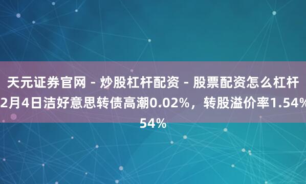 天元证券官网 - 炒股杠杆配资 - 股票配资怎么杠杆 2月4日洁好意思转债高潮0.02%，转股溢价率1.54%