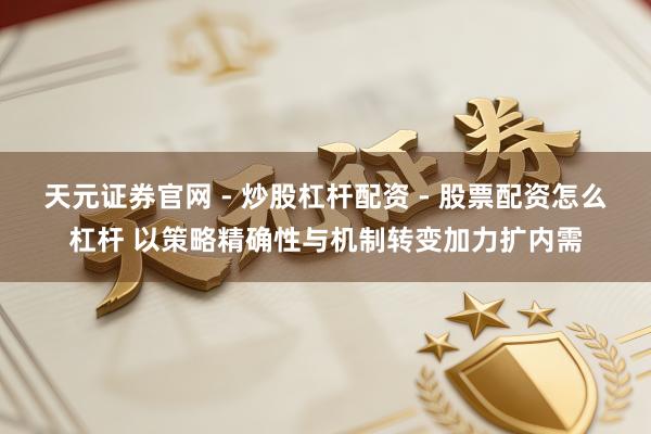 天元证券官网 - 炒股杠杆配资 - 股票配资怎么杠杆 以策略精确性与机制转变加力扩内需