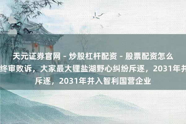 天元证券官网 - 炒股杠杆配资 - 股票配资怎么杠杆 天王人锂业终审败诉，大家最大锂盐湖野心纠纷斥逐，2031年并入智利国营企业
