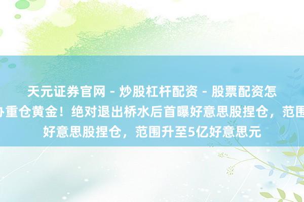 天元证券官网 - 炒股杠杆配资 - 股票配资怎么杠杆 达利欧家办重仓黄金！绝对退出桥水后首曝好意思股捏仓，范围升至5亿好意思元