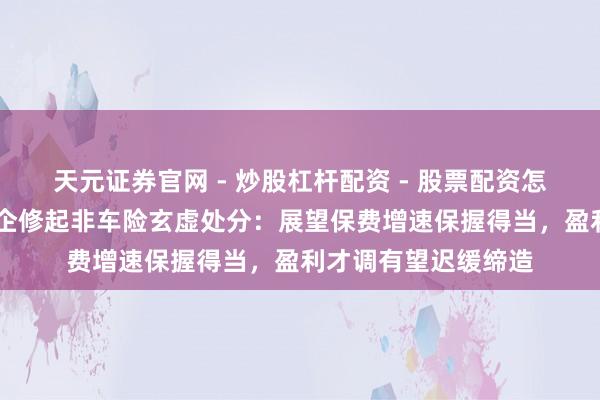 天元证券官网 - 炒股杠杆配资 - 股票配资怎么杠杆 多家上市险企修起非车险玄虚处分：展望保费增速保握得当，盈利才调有望迟缓缔造
