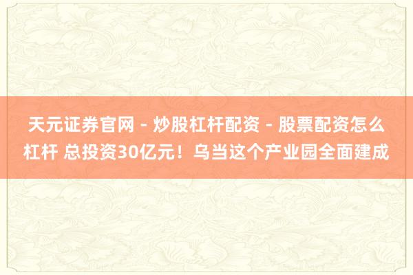 天元证券官网 - 炒股杠杆配资 - 股票配资怎么杠杆 总投资30亿元！乌当这个产业园全面建成