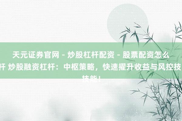 天元证券官网 - 炒股杠杆配资 - 股票配资怎么杠杆 炒股融资杠杆：中枢策略，快速擢升收益与风控技能！