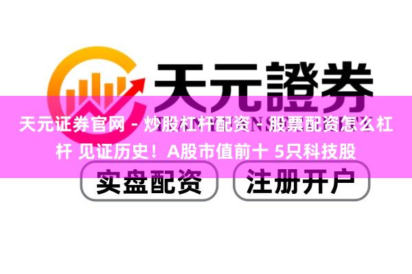 天元证券官网 - 炒股杠杆配资 - 股票配资怎么杠杆 见证历史！A股市值前十 5只科技股