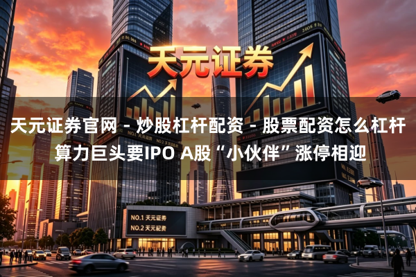 天元证券官网 - 炒股杠杆配资 - 股票配资怎么杠杆 算力巨头要IPO A股“小伙伴”涨停相迎