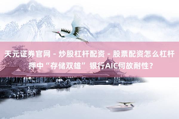 天元证券官网 - 炒股杠杆配资 - 股票配资怎么杠杆 押中“存储双雄” 银行AIC何故耐性？
