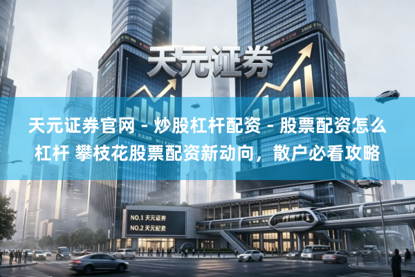 天元证券官网 - 炒股杠杆配资 - 股票配资怎么杠杆 攀枝花股票配资新动向，散户必看攻略