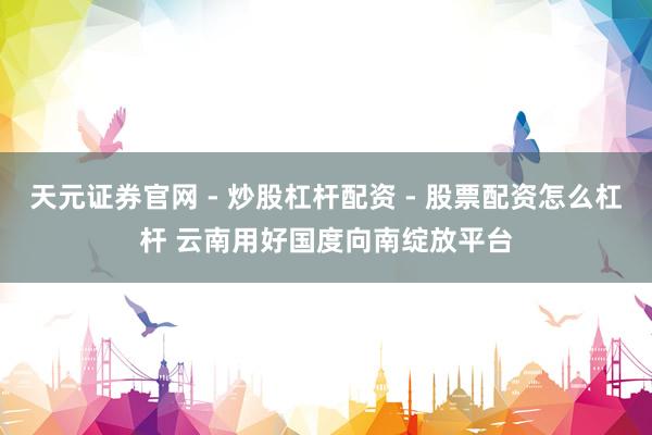 天元证券官网 - 炒股杠杆配资 - 股票配资怎么杠杆 云南用好国度向南绽放平台