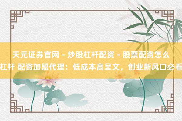 天元证券官网 - 炒股杠杆配资 - 股票配资怎么杠杆 配资加盟代理：低成本高呈文，创业新风口必看